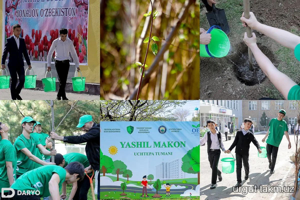 Yashil makon