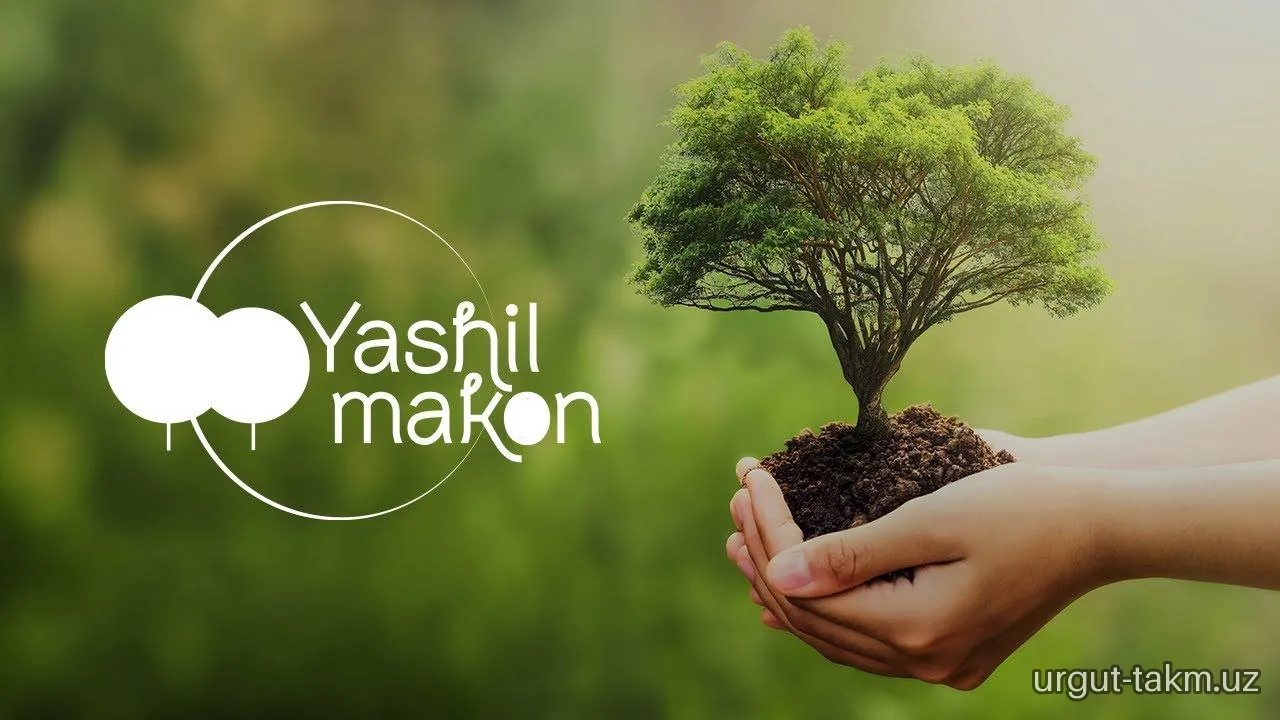 Yashil makon